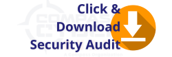 download security audit