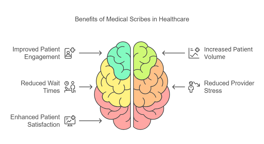 overview of medical-scribes