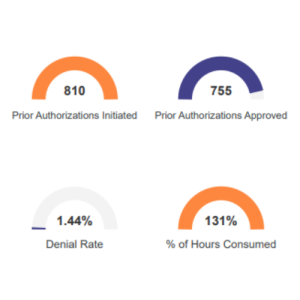prior auth overview